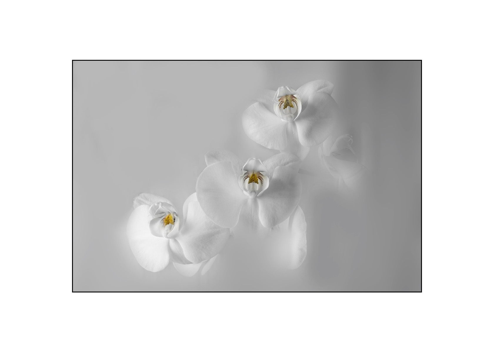 Thomas Krekow - Serenity