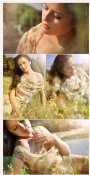 Elevenorchids