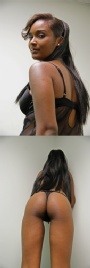 Wild Side Studios