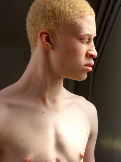 Djamee Raphael - Shaun Ross