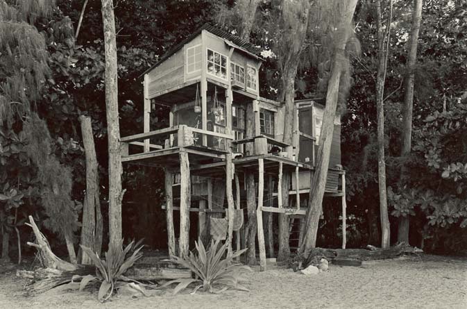 John Wehrheim - Diane S. house