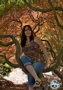 Barry Scott - Kelly up a tree