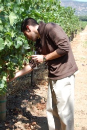 Justin Williams - Winery Photos