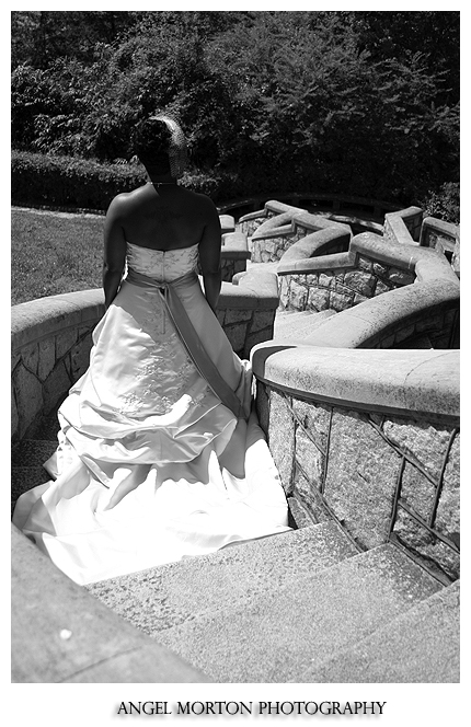 Angel Morton Photography