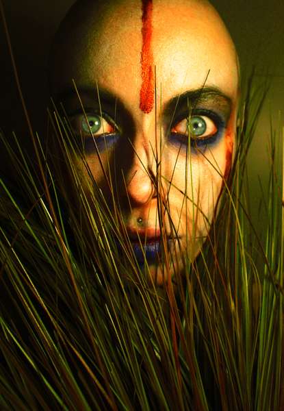 Voivodess - Through the looking grass