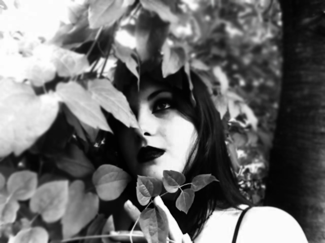 Kittie Scarlett - find the truth