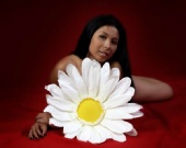 Rachel Canal - Daisey