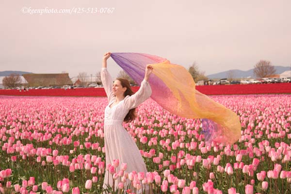 Molly - Spring Colors in the Wind