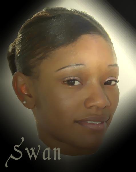 Swan - Swan