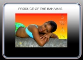 Swan - Produce of the Bahamas