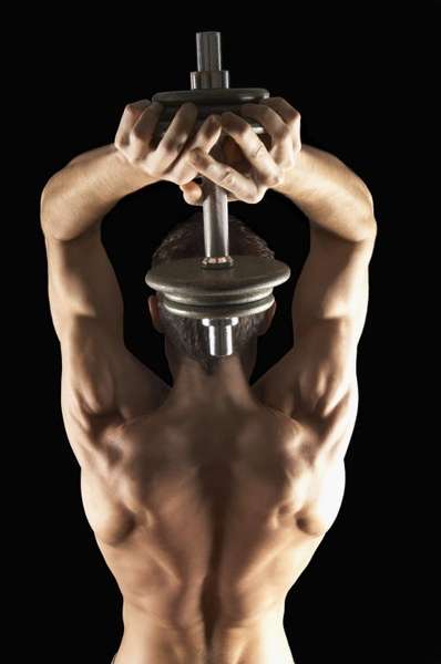 Luscious L'Allier - Anatomy Sculpture