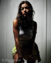 Steenahernandez.com - Shadow