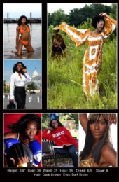 MeriTesadotcom - Back of Commercial Compcard