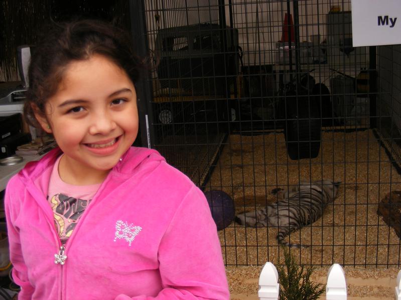 Shayla - White Tiger cub photo