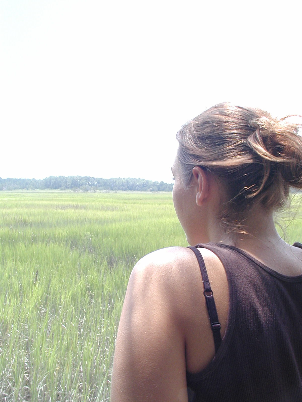 Steve Holmes - Savanah