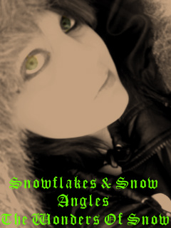 HeatherNicole - HeatherX 2008