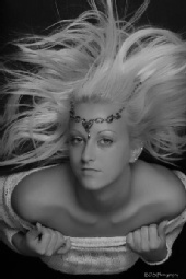 arianna - *Dream In the Wind*