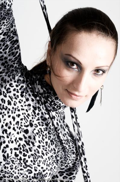 FallowDeer