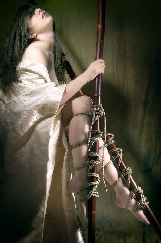 Nicotine - Japanese Wedding Kimono