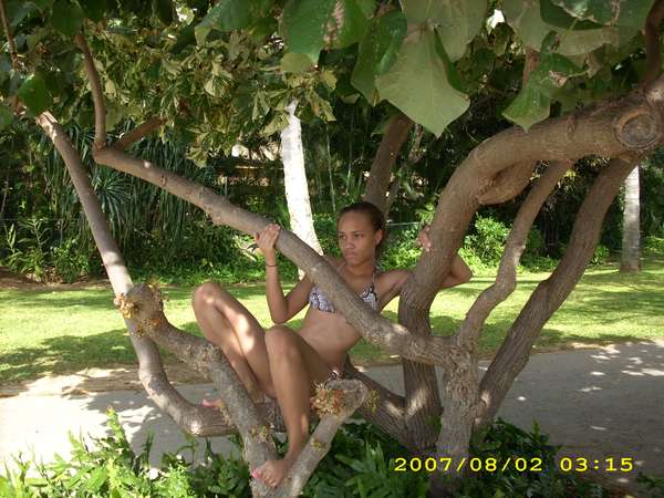 Desiree Brown - Tree climber