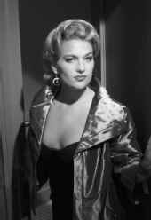 Cat King - D magazine shoot