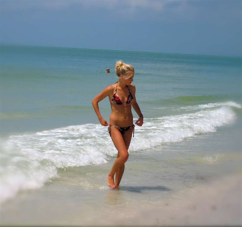 widgetweece - summer in the sun!