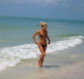 widgetweece - summer in the sun!