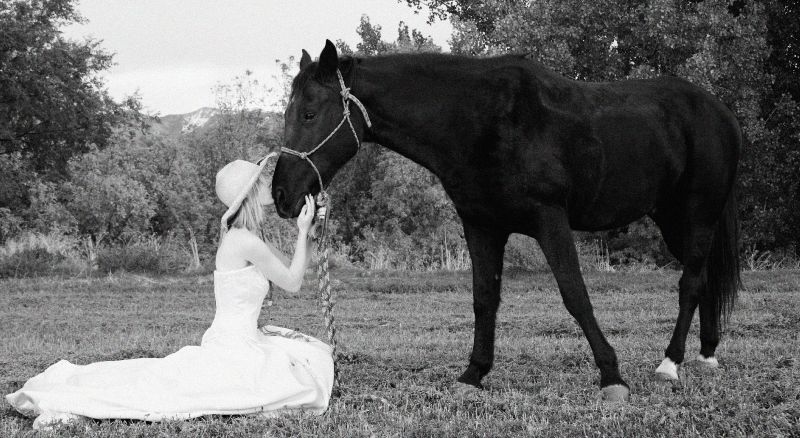 Hayden Holmgren - Trash the Dress