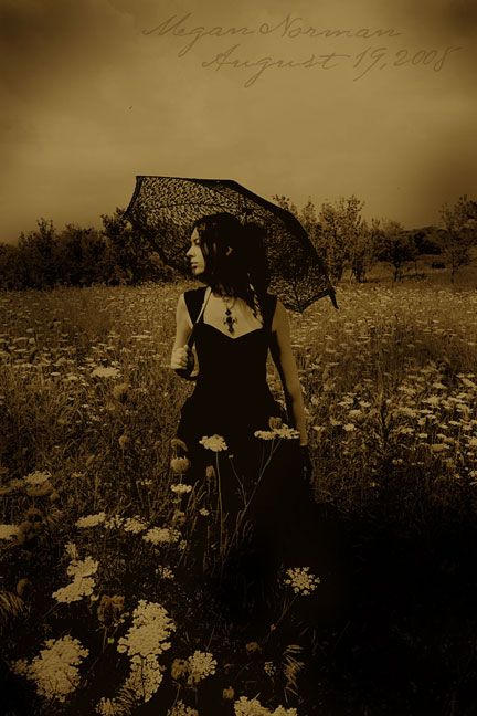 crooked-angel - Sunset Photograph