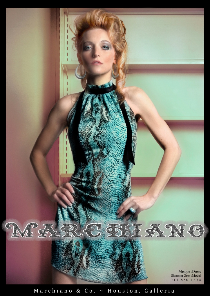 Shannon Gros - Marchiano Houston Galleria Poster