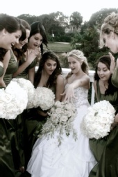 Apple Bees - wedding