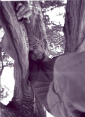 paul ivaldi - tree climbing