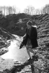 Fox - Crossing The River