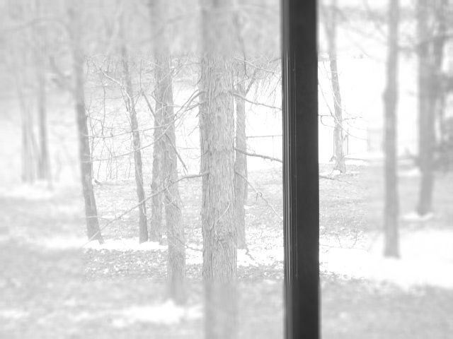 Taylor - winterwonderland