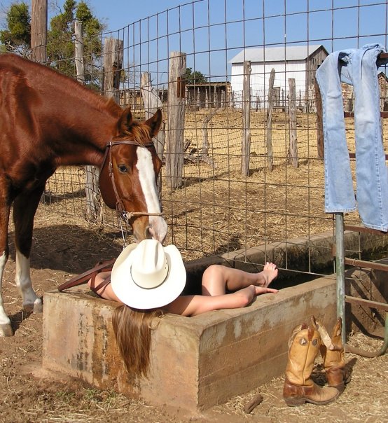 Tasia Bauman - water trough