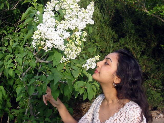 Indrani Rauth - Flowers