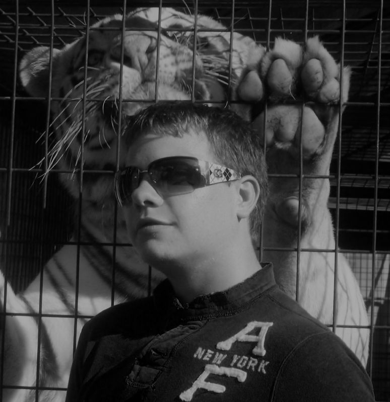 Lgp - Zoo Dynamics