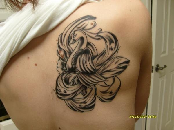 crystal lynn - peacock on my right shoulder blade (before the color)