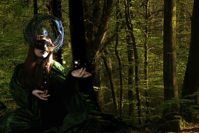 Night Phoenix - Forest Magic