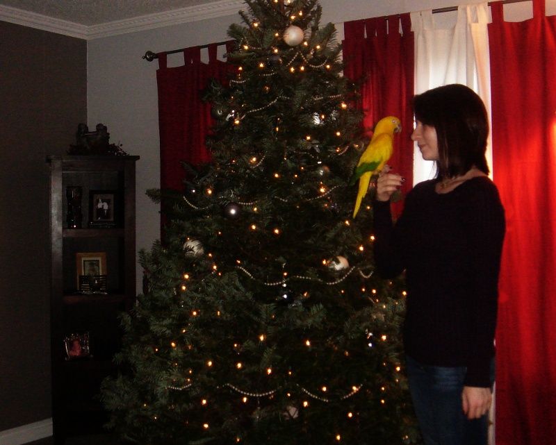 Randi Travers - With Hunter at Christmas