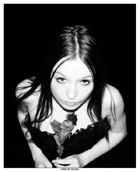 Zinzi - A Rose For The Dead