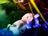 Morosity - If you go down to the woods today...