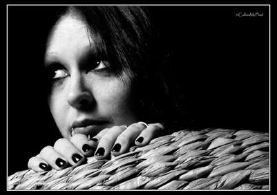 Bat - black and white