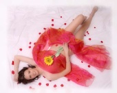 Nicola - Bed of Rose Petals