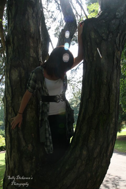 kaytee_118 - in a tree