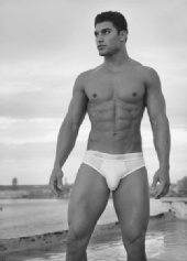 David Adams - David Adams