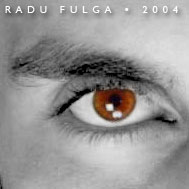 Radu Fulga - Radu