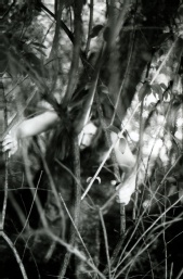 Crane design production