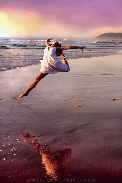ModelDancer