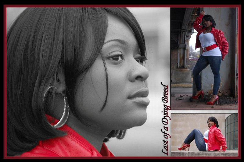 Paparazzi Photography